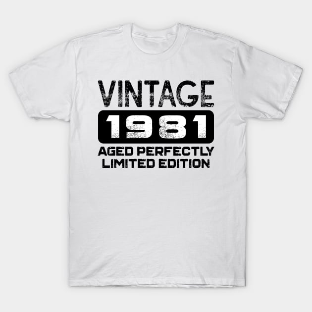 Birthday Gift Vintage 1981 Aged Perfectly T-Shirt by colorsplash